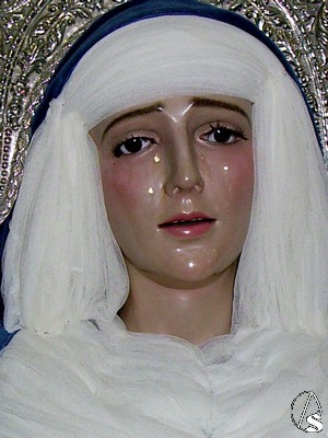 La Virgen es obra del escultor alcalareo Manuel Pineda Caldern en 1961, bendicindose ese mismo ao bajo la advocacin de Nuestra Seora de la Amargura 